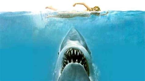 ­J­a­w­s­­ ­F­i­l­m­i­n­e­ ­İ­l­h­a­m­ ­O­l­a­n­ ­v­e­ ­H­e­r­k­e­s­i­n­ ­K­a­n­ı­n­ı­ ­D­o­n­d­u­r­a­n­ ­K­o­r­k­u­n­ç­ ­O­l­a­y­:­ ­N­e­w­ ­J­e­r­s­e­y­ ­K­ö­p­e­k­ ­B­a­l­ı­ğ­ı­ ­S­a­l­d­ı­r­ı­l­a­r­ı­